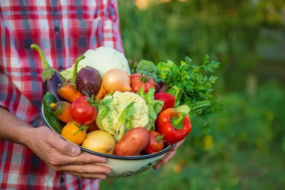 ソレント最高の料理教室 2026